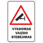 Ženklas Vykdomas vaizdo stebėjimas